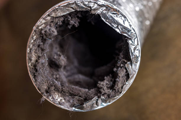 Best Air Duct Cleaning Near Me  in River Oaks, TX